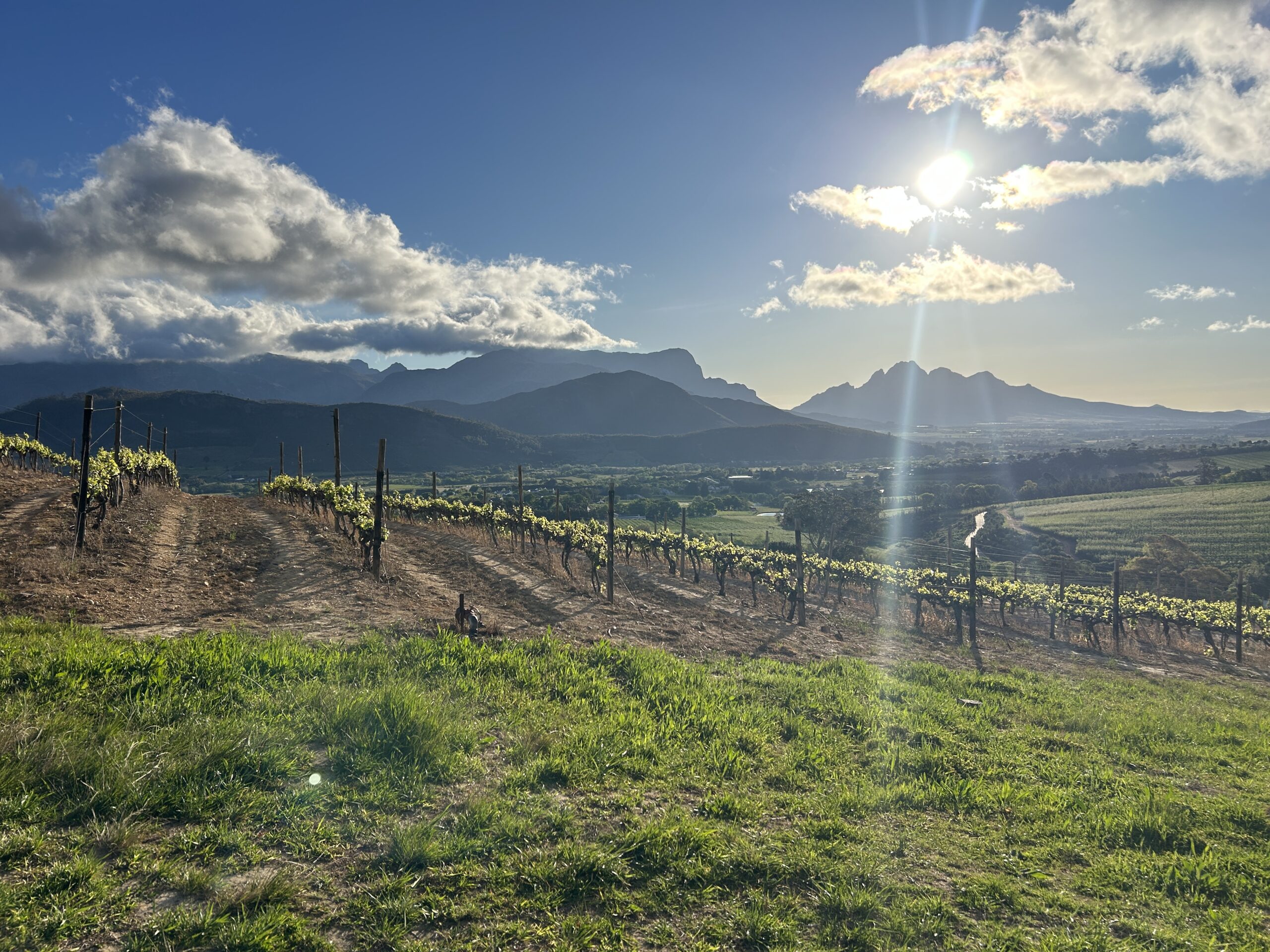 Franschhoek