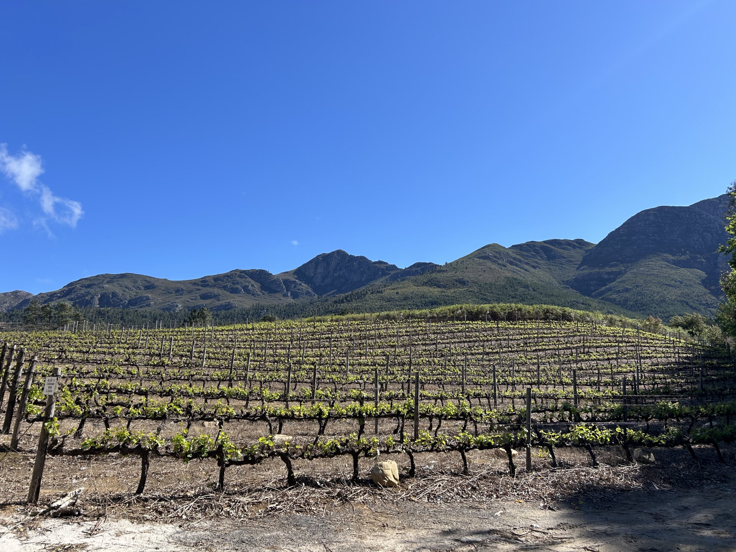 Franschhoek