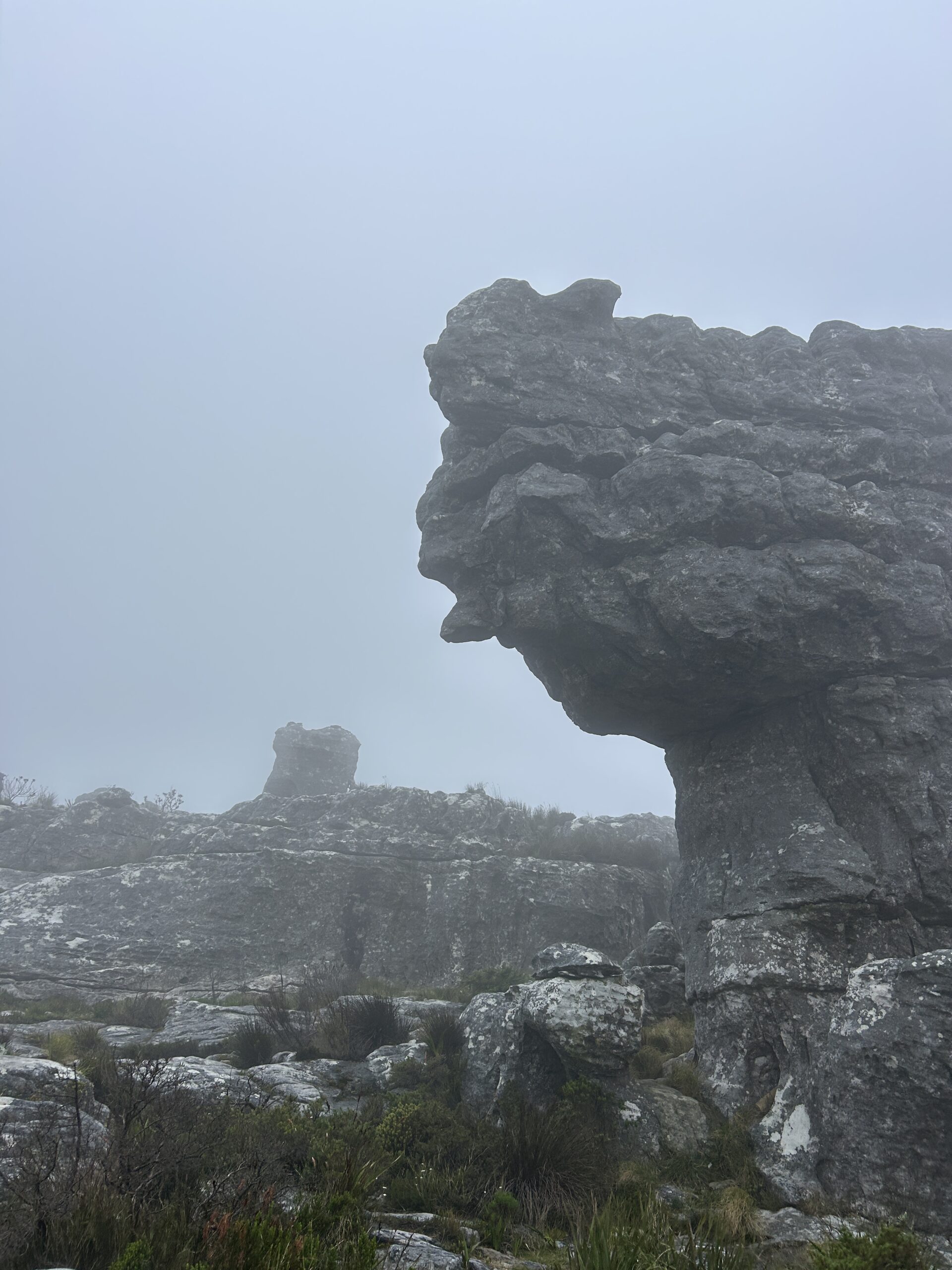 Table Mountain Cap Town 2025